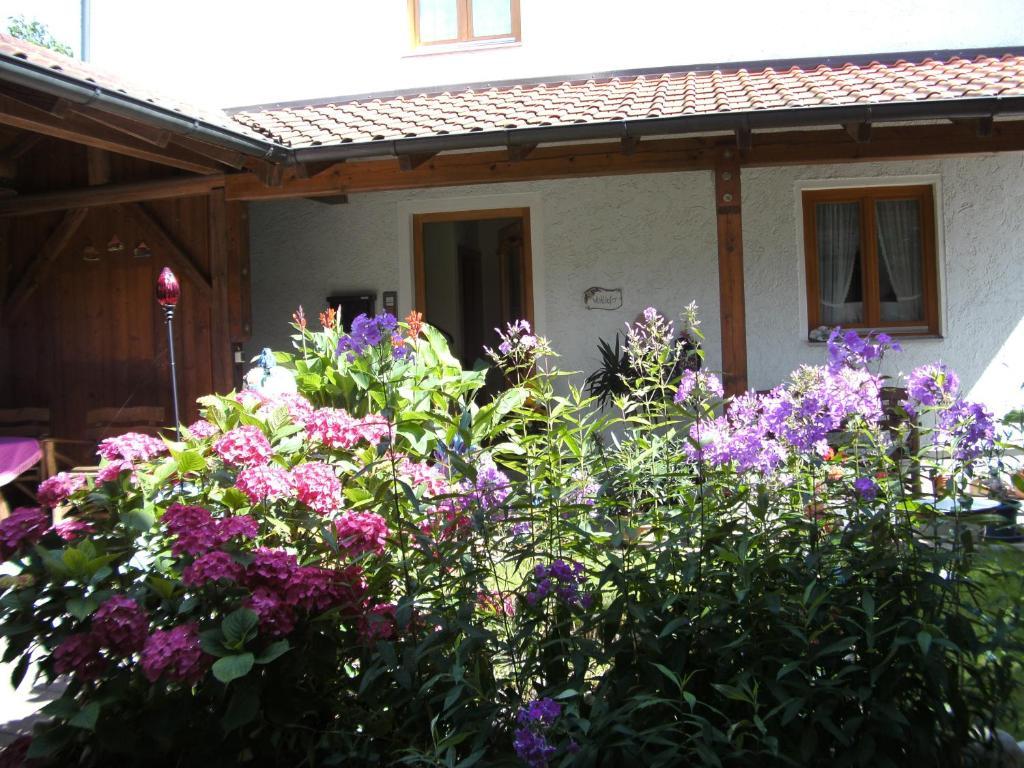 Appartementhaus Elisabeth Winklhofer Bad Füssing Oda fotoğraf